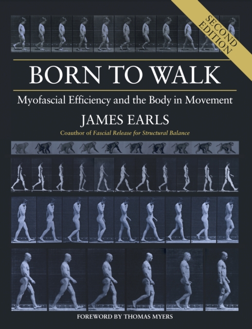 Born to Walk : Myofascial Efficiency and the Body in Movement, Paperback / softback Book