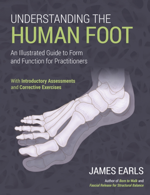 Understanding the Human Foot : An Illustrated Guide to Form and Function for Practitioners, Paperback / softback Book