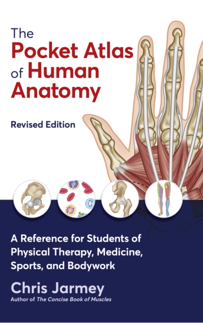 The Pocket Atlas of Human Anatomy : A Reference for Students of Physical Therapy, Medicine, Sports, and Bodywork, Paperback / softback Book