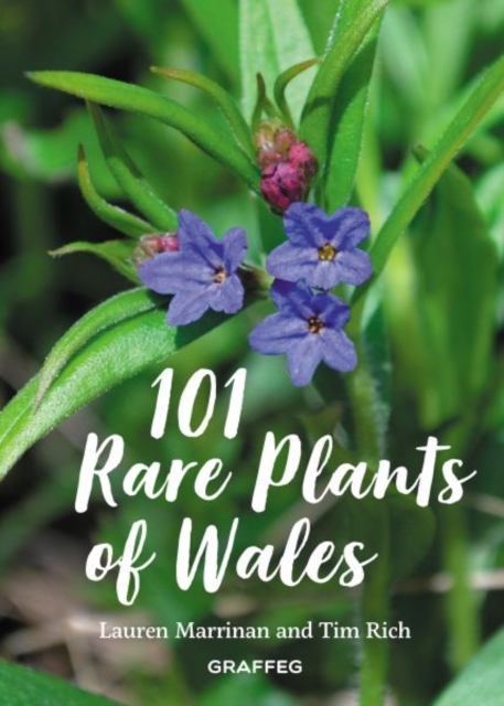 101 Rare Plants of Wales, Hardback Book