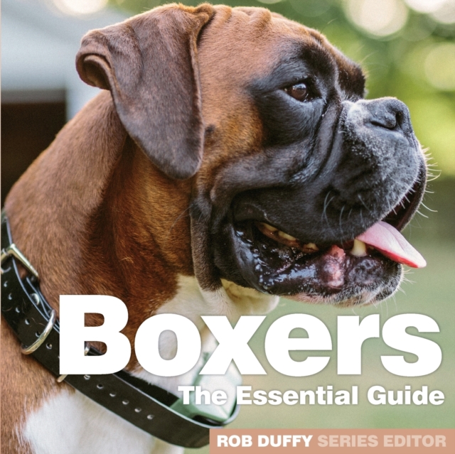 Boxers : The Essential Guide, Paperback / softback Book
