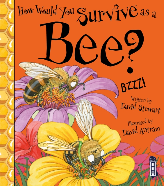 How Would You Survive As A Bee?, Paperback / softback Book