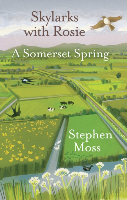 Skylarks with Rosie : A Somerset Spring, EPUB eBook
