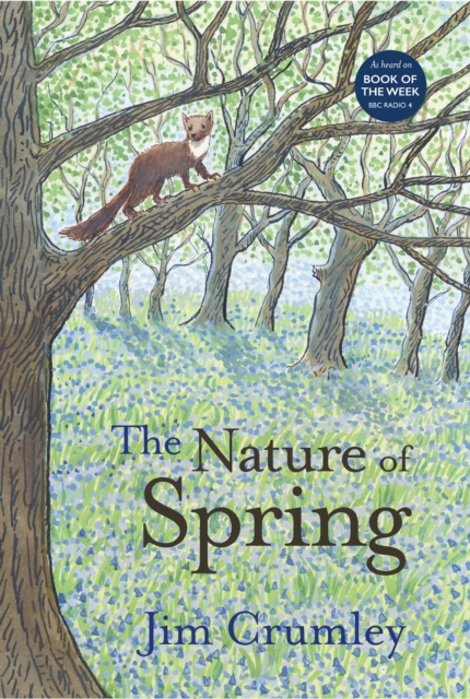 The Nature of Spring, Paperback / softback Book