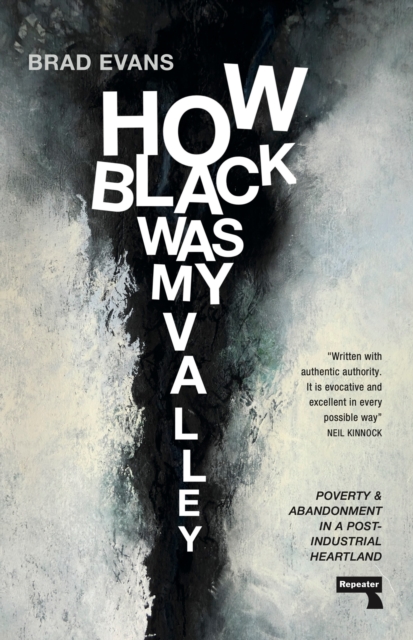 How Black Was My Valley : Poverty and Abandonment in a Post-Industrial Heartland, Paperback / softback Book