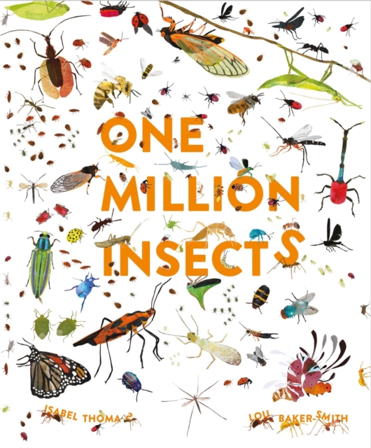 One Million Insects, Hardback Book