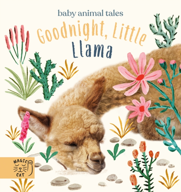 Goodnight, Little Llama : A book about being a good friend, Hardback Book