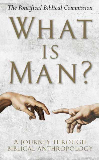 What Is Man? : A Journey Through Biblical Anthropology, Hardback Book