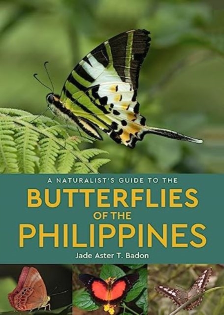 A Naturalist's Guide to the Butterflies of the Philippines, Paperback / softback Book