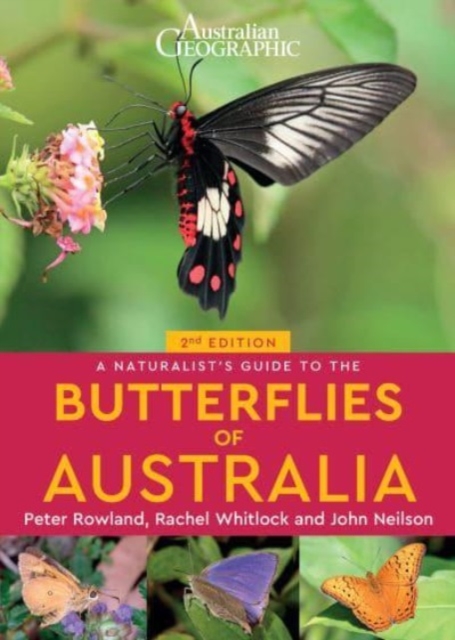 A Naturalist's Guide to the Butterflies of Australia (2nd), Paperback / softback Book