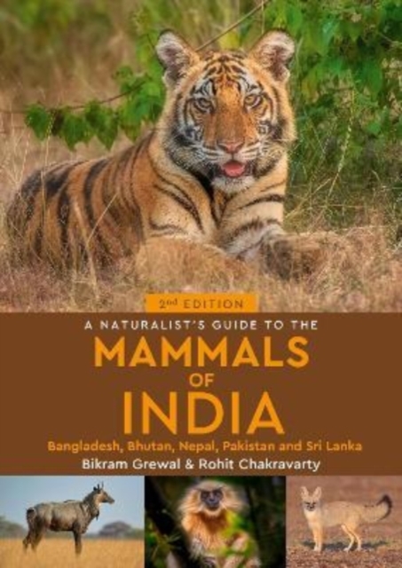 A Naturalist's Guide to the Mammals of India, Paperback / softback Book