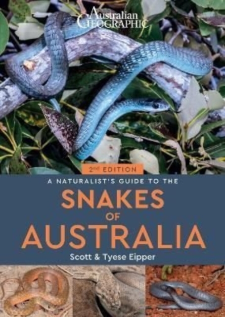 A Naturalist's Guide to the Snakes of Australia (2nd ed), Paperback / softback Book