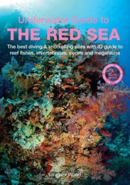 An Underwater Guide to the Red Sea (2nd), Paperback / softback Book