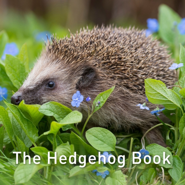 The Hedgehog Book, EPUB eBook