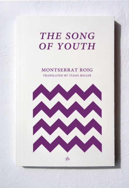 The Song of Youth, Paperback / softback Book