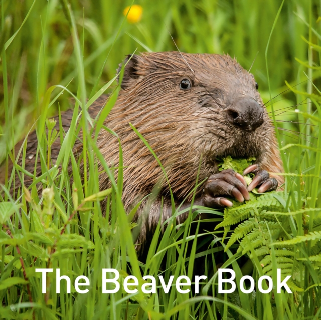 The Beaver Book, EPUB eBook
