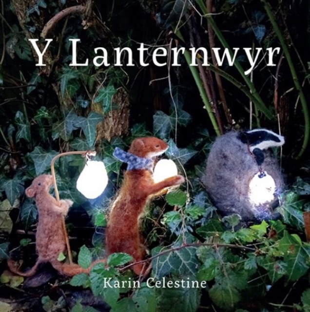 Y Lanternwyr, Hardback Book