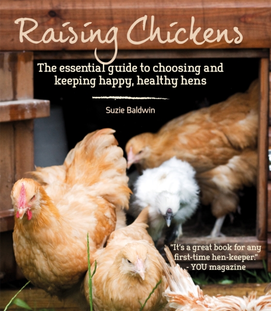 Raising Chickens, Paperback / softback Book