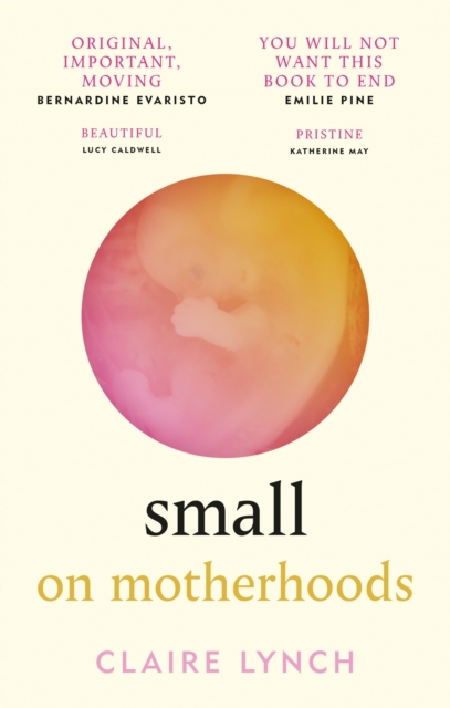 Small : On motherhoods, Paperback / softback Book