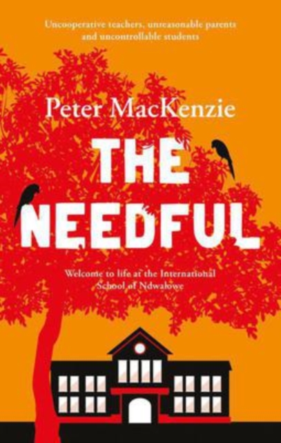 The Needful : A year in an international school in Africa, Paperback / softback Book