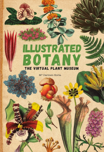 Illustrated Botany : The Virtual Plant Museum, Hardback Book