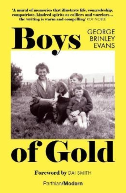 Boys of Gold, Paperback / softback Book