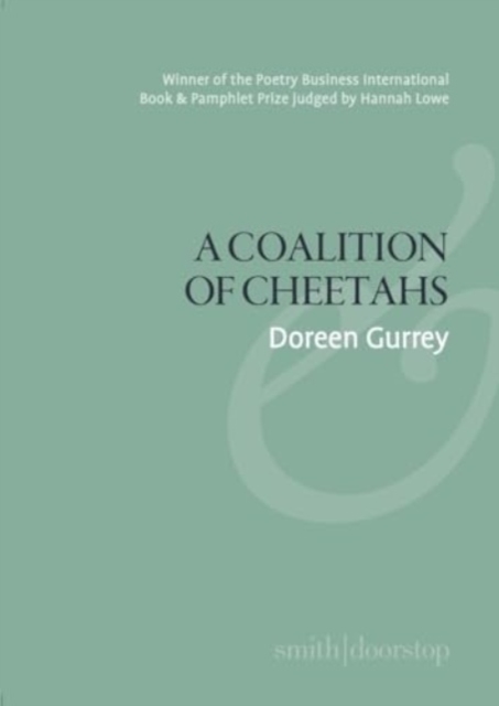 A Coalition of Cheetahs, Paperback / softback Book