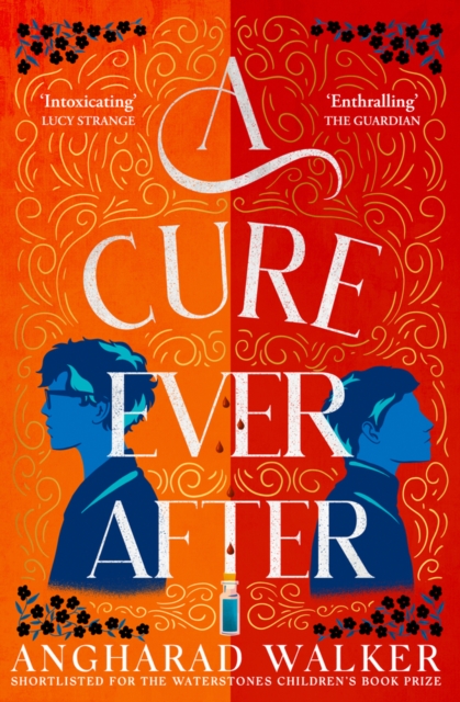 A Cure Ever After, Paperback / softback Book