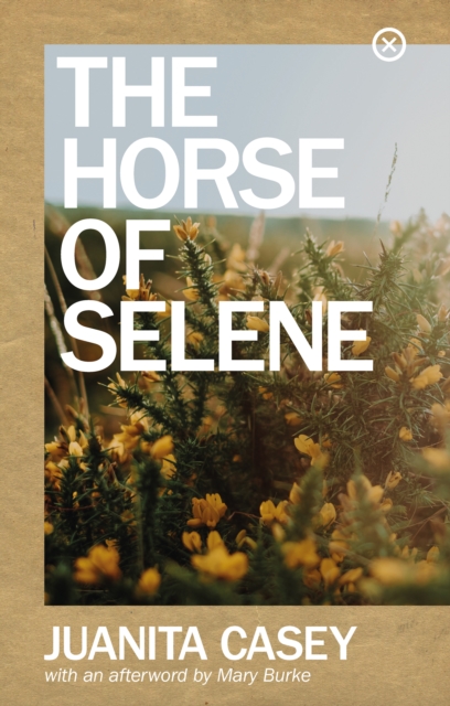The Horse of Selene, Paperback / softback Book