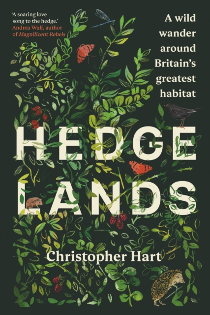 Hedgelands : A wild wander around Britain’s greatest habitat, Hardback Book