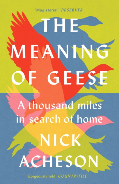 The Meaning of Geese : A Thousand Miles in Search of Home, Paperback / softback Book