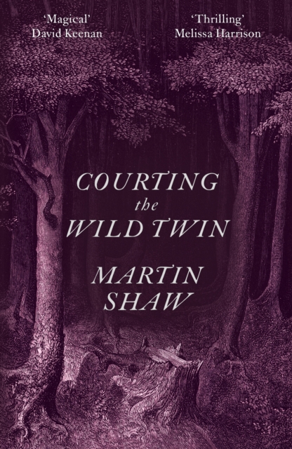 Courting the Wild Twin, Paperback / softback Book