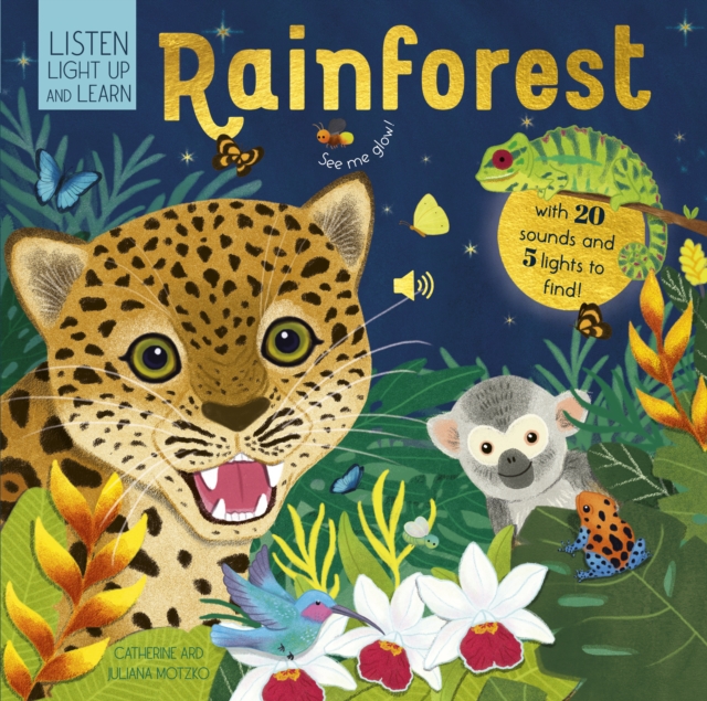 Sounds of the Rainforest, Board book Book