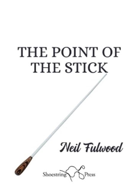 The Point of the Stick, Paperback / softback Book