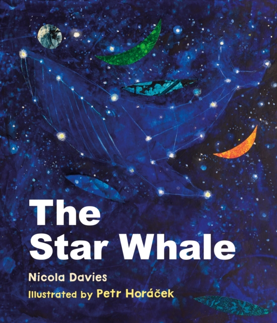 The Star Whale, Hardback Book