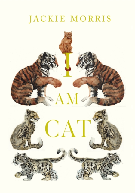 I am Cat, Hardback Book