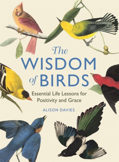 The Wisdom of Birds : Essential Life Lessons for Positivity and Grace, Hardback Book