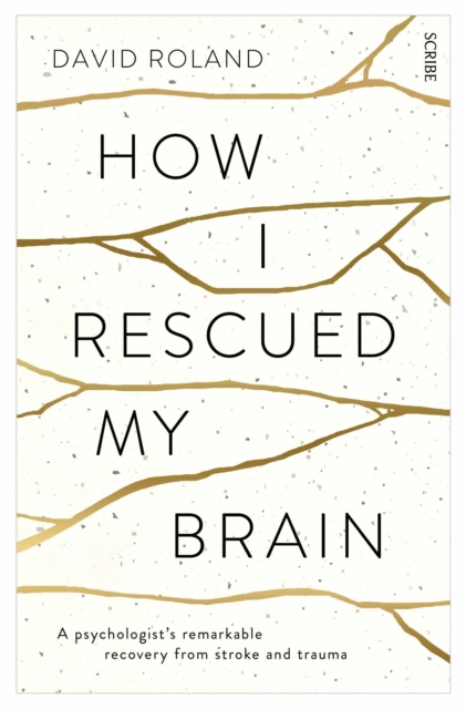 How I Rescued My Brain : a psychologist’s remarkable recovery from stroke and trauma, Paperback / softback Book