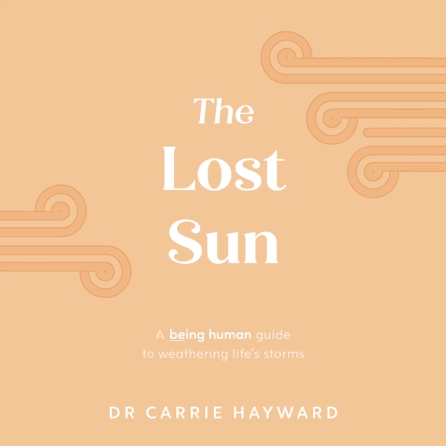 The Lost Sun : A Being Human guide to weathering life’s storms, Hardback Book