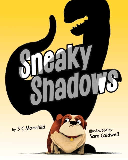 Sneaky Shadows, Hardback Book