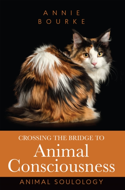 Crossing the Bridge to Animal Consciousness : Animal Soulology, EPUB eBook