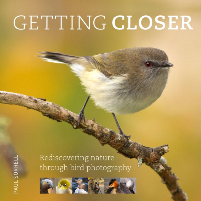 Getting Closer : Rediscovering Nature Through Bird Photography, Hardback Book