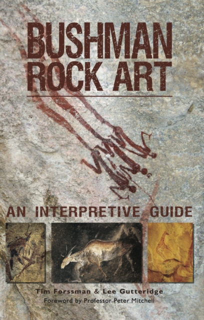 Bushman Rock Art : An Interpretive Guide, EPUB eBook