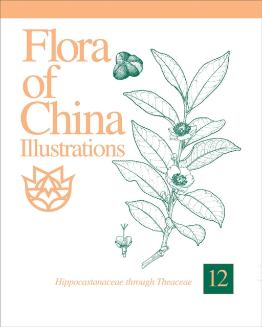 Flora of China Illustrations, Volume 12 - Hippocastanaceae through Theaceae, Hardback Book
