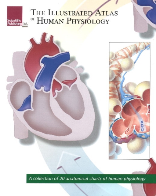 Illustrated Atlas of Human Physiology : A Collection of 20 Anatomical Charts of Human Physiology, Paperback / softback Book
