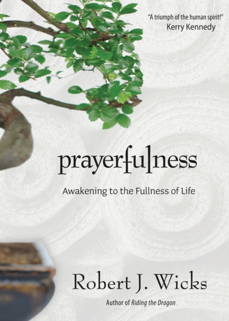 Prayerfulness : Awakening to the Fullness of Life, EPUB eBook