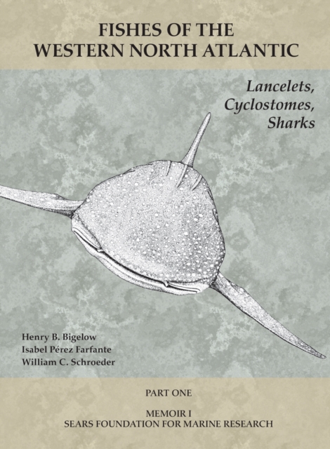 Lancelets, Cyclostomes, Sharks : Part 1, PDF eBook