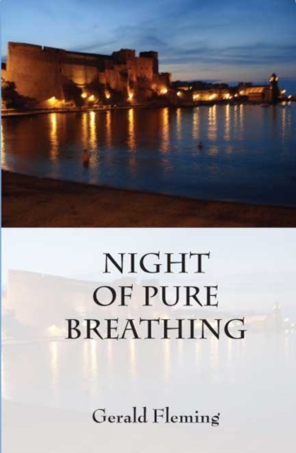 Night of Pure Breathing, EPUB eBook