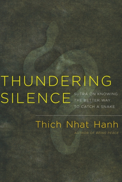 Thundering Silence, EPUB eBook