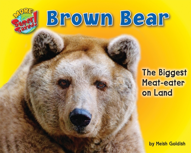 Brown Bear, PDF eBook